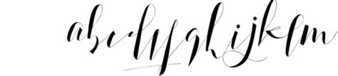 Boutique Paris Modern Script 1 Font What Font Is