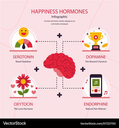 Happiness hormones brain serotonin dopamine Vector Image