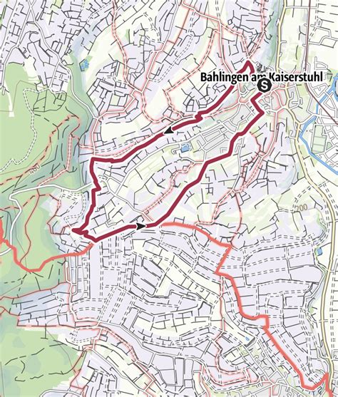 Spätburgunderweg Bahlingen • Wanderung