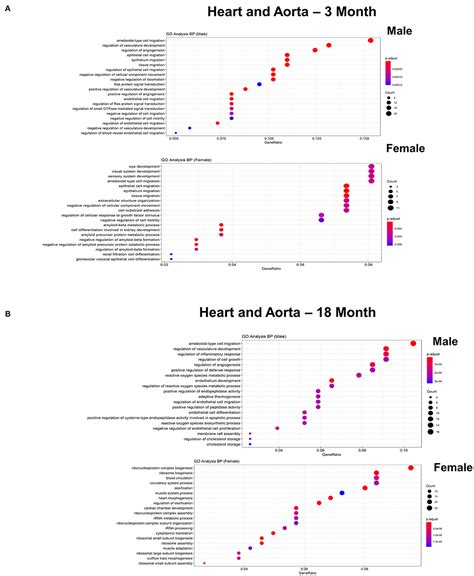 Frontiers Single Cell Transcriptional Profiling Reveals Sex And Age