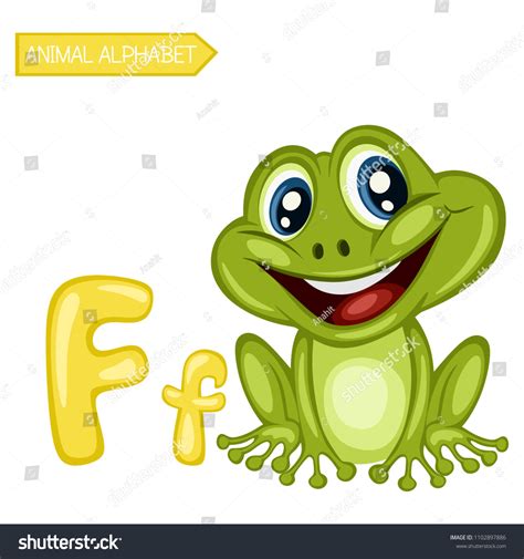 Animal Alphabet F Frog Vector Illustration Stock Vector Royalty Free