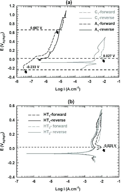 A Section Of Cyclic Potentiodynamic Polarization Curves Including The