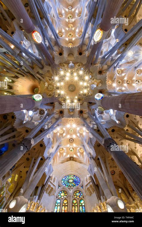 Gaudi Sagrada Familia Ceiling