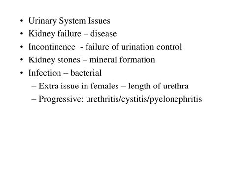 Ppt Urinary System Powerpoint Presentation Free Download Id 1467032