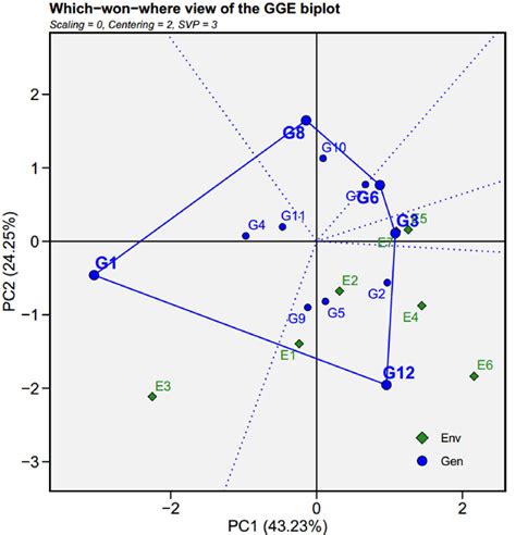 Which Won Where The View Of The Gge Biplot To Show Which Tef Genotypes