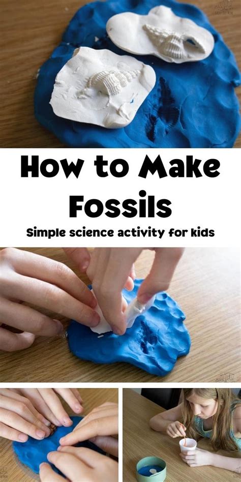 Step By Step Guide On How To Make Cast Fossils With Kids Cast Fossils