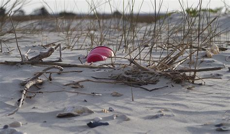 Marine Debris Research and Prevention – North Inlet-Winyah Bay