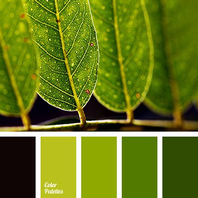 green leaf color | Color Palette Ideas