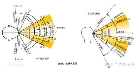 视野与视 场 角 知乎