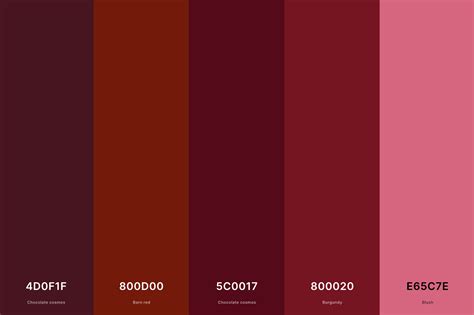 20 Best Terracotta Color Palettes With Names And Hex Codes