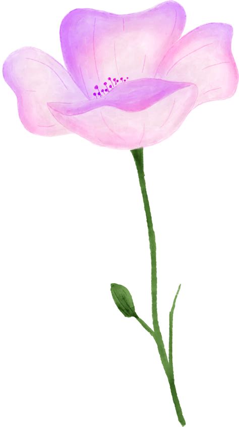 Purple And Pink Flower Floral Watercolor For Decoration 11306458 Png