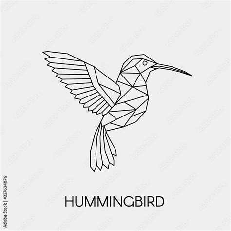 Geometric Hummingbird Polygonal Linear Abstract Tropical Bird Vector