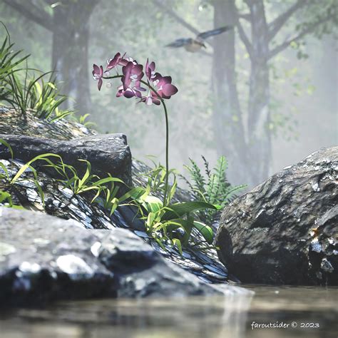 Orchid By Faroutsider On Deviantart