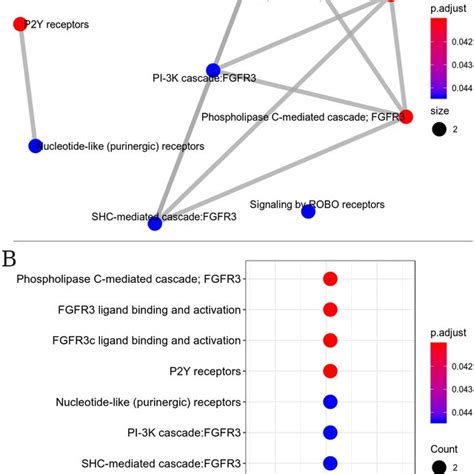 Interaction of metabolic pathways. The most significant metabolic ... 