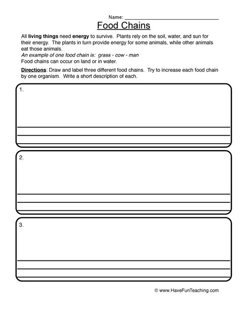 Food Chain Worksheet by Teach Simple