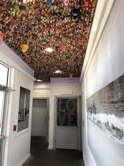 The Hangout, Gulf Shores Alabama : r/rubberducks