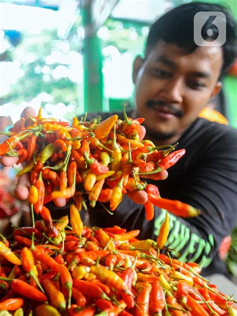 Masuk 2024 Harga Cabai Berangsur Turun Ke Rp 82 000 Per Kg Bisnis