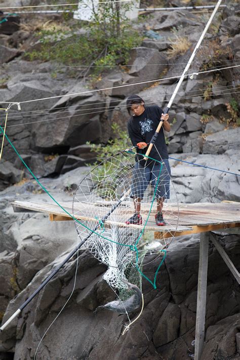 Free picture: dip, nets, traditional, fishing