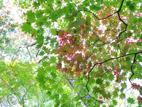 山形県のイベント情報週末【毎週更新】やまがたの今日の行事を確認！ 山形 まるごと観光情報サイト「visit Yamagata」