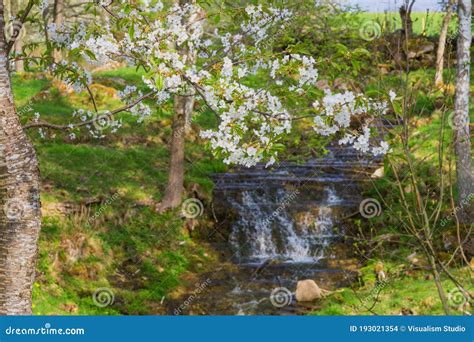 Beautiful Waterfall Panoramic Beautiful Deep Green Natural Forest On