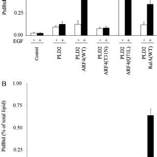 Colocalization Of Arf And Egfr After Egf Induction T Egfr Cells