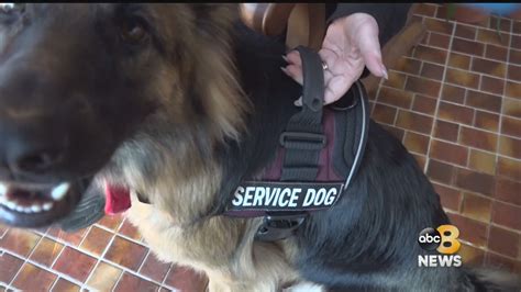 Service Dog Denied Entrance At Virginia Restaurant