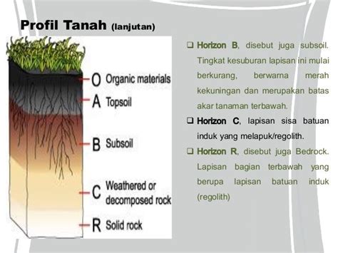 Lapisan Tanah Tahun 3 Lapisan Tanah Yang Terdapat Pada Kerak Bumi