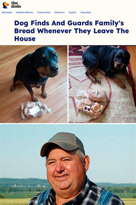 a man standing next to a dog on top of a wooden floor in front of a bag ...