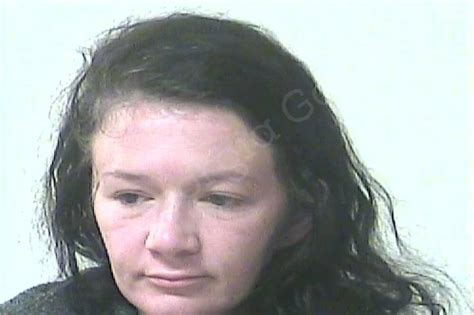 Heather Newsome Oconee County Jail Bookings