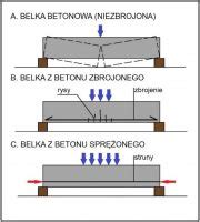 Czym Elbet R Ni Si Od Betonu Spr Onego Pewny Cement Dom Na Lata