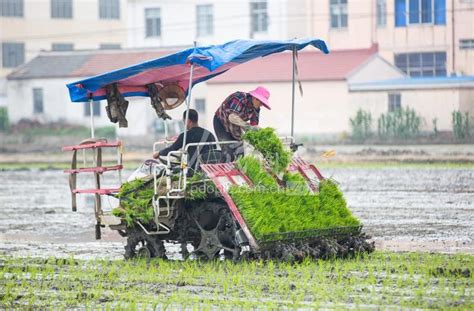 江苏海安：抢抓农时忙夏种 人民图片网