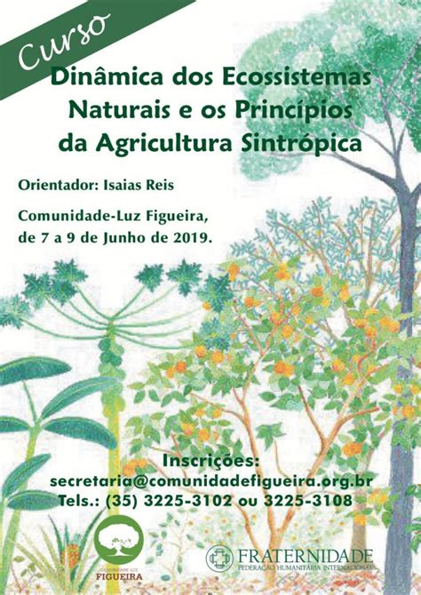 Curso Din Mica Dos Ecossistemas Naturais E Os Princ Pios Da Agricultura