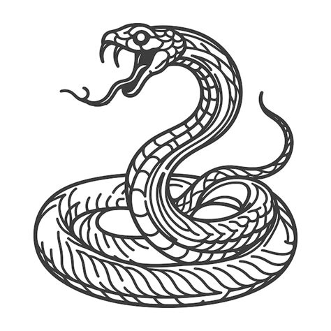 Premium Vector | Outline snake vector illustration