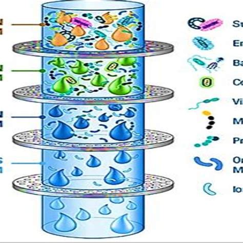 Schematic Show Different Processes Of Membrane Filtration Adapted From Download Scientific