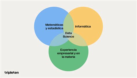 Qué es la Ciencia de Datos TripleTen México