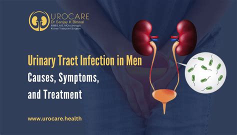 Urinary Tract Infection In Men Causes Symptoms And Treatment