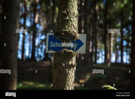 guidepost   hiking path  siebenlinden   waldviertel