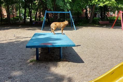 Din Nou De La Cititori Poze Cu Locul De Joac Din Parcul Eminescu