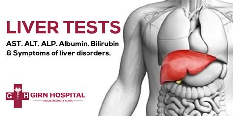 Liver Tests Ast Alt Alp Albumin Bilirubin And Symptoms Of Liver Disorders