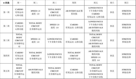 Focus T25 健身操 中文课程表word打印版word文档在线阅读与下载无忧文档