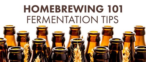 Homebrewing 101 Fermentation Tips