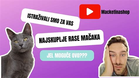 Najskuplje rase mačaka YouTube