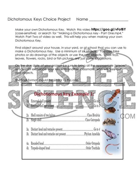 Dichotomous Keys Lesson Plan A Complete Science Lesson Using The 5e Method Of Instruction