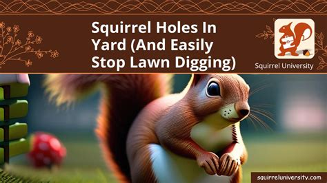 Squirrel Holes In Yard (and EASILY Stop Lawn Digging) - Squirrel University