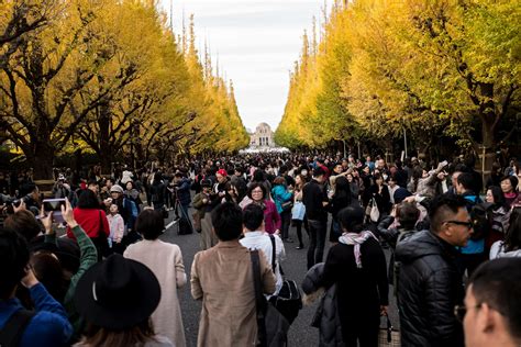 Japan considers raising tourism tax from S$9 to S$45 in bid to address