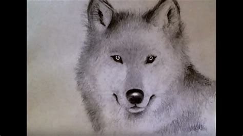 How To Draw Real Wolf