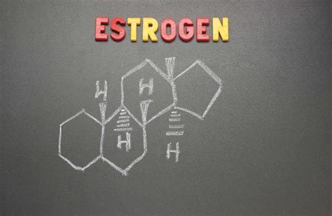 How estrogen in men causes erectile dysfunction