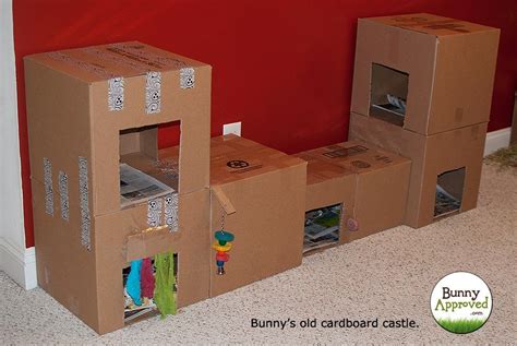 How To Make A Rabbit House Out Of A Box - House Poster