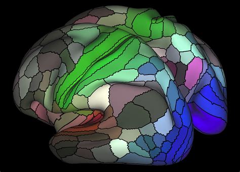 This New Map Doubles The Human Brains Domains Geekwire