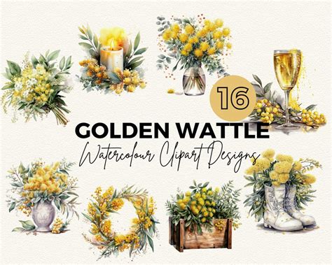 Golden Wattle Clipart Watercolour Golden Wattle Clip Art Digital Image ...